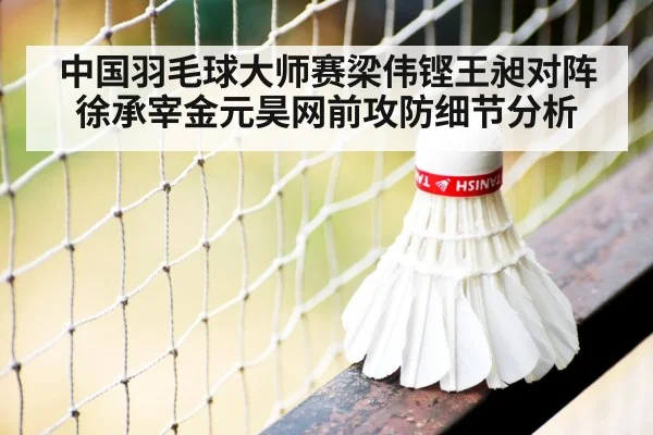 中国羽毛球大师赛梁伟铿王昶对阵徐承宰金元昊网前攻防细节分析